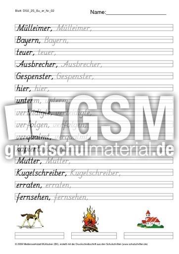 DSS_2S_Bu_er_Nr_02.pdf